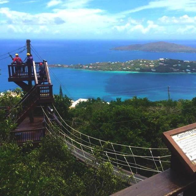 Tree Limin' Extreme Zipline