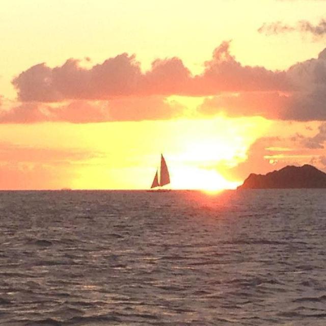 Sunset dinners