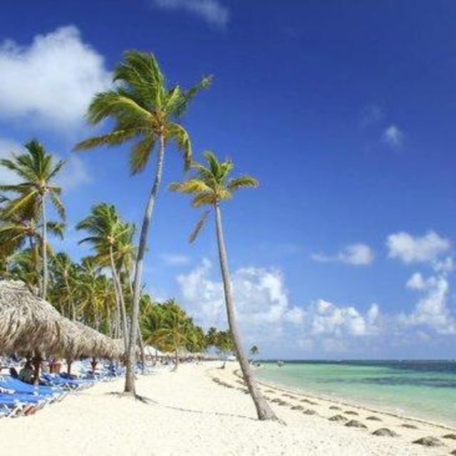 Honeymoon to Dominican Republic