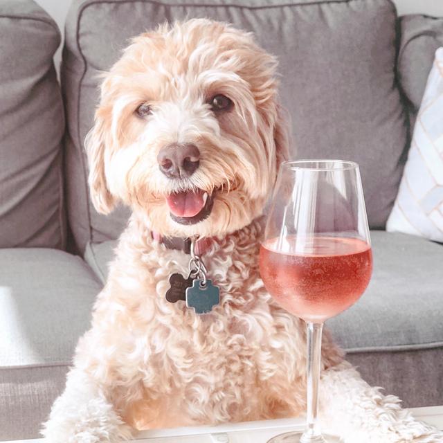 Monthly Wine Subscription with SommSelect