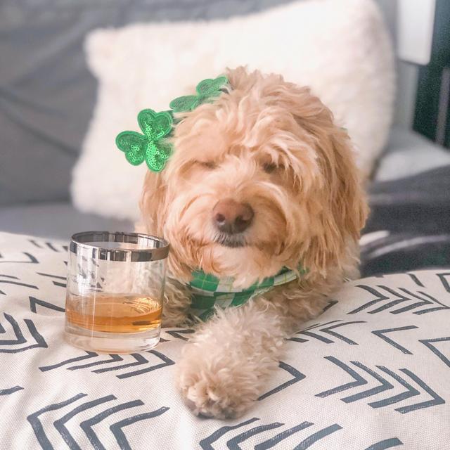 Quarterly Whisky Subscription with Flaviar