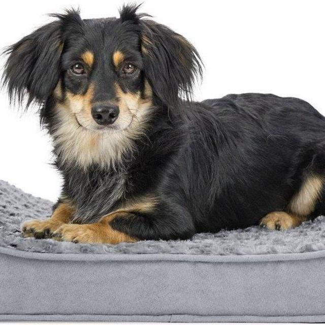 FurHaven Ultra Plush Luxe Lounger Orthopedic Cat & Dog Bed w/Removable Cover
