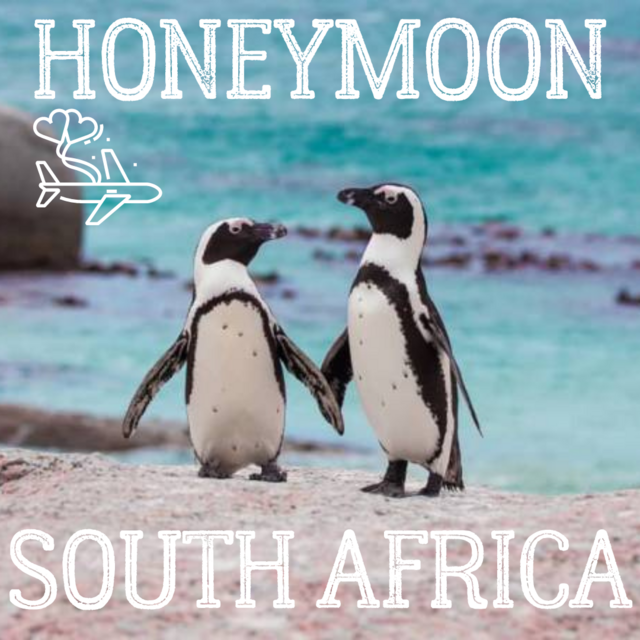 Honeymoon Fund