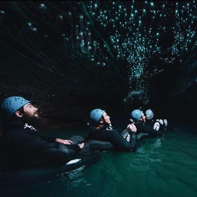Half Day Glow Worm Cave Abseiling & Tubing Tour