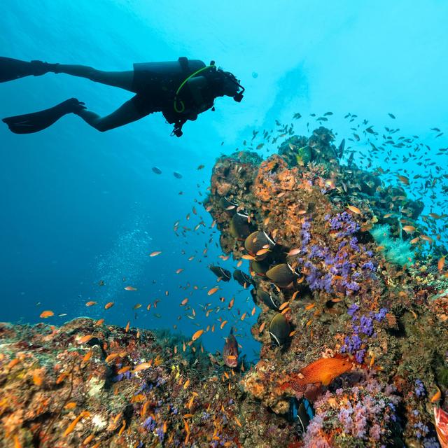 Scuba Diving