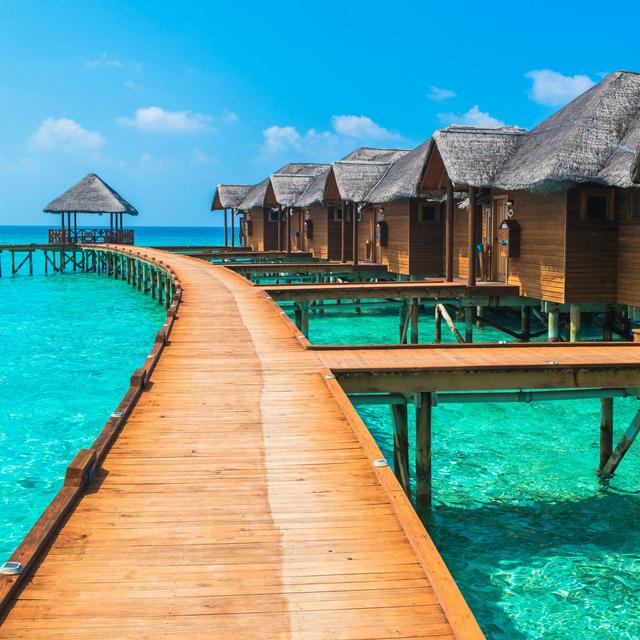Upgrade to Premium Overwater Bungalow
