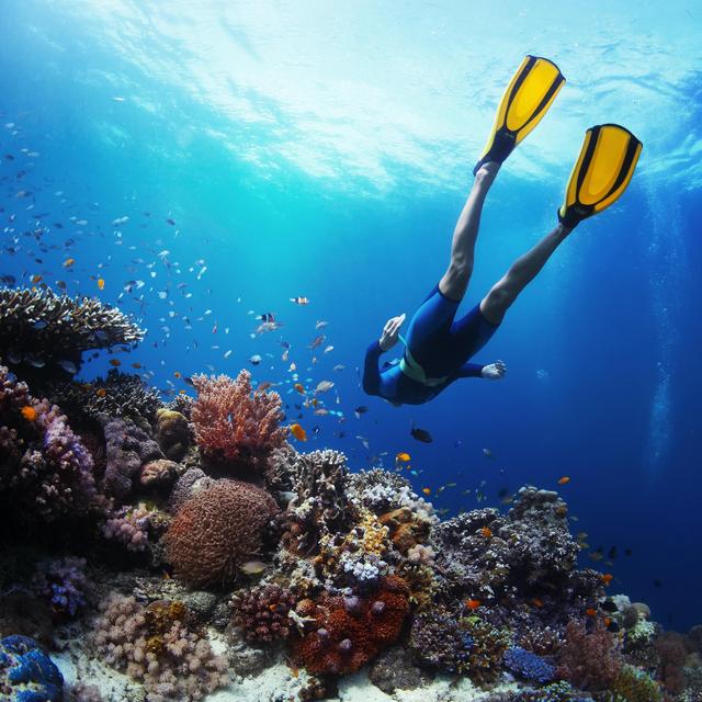 Snorkeling Adventure