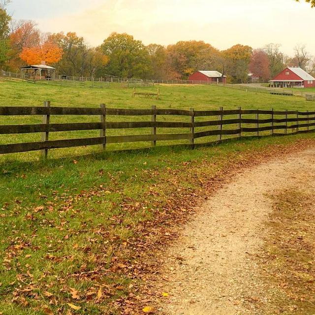 Fence Fund