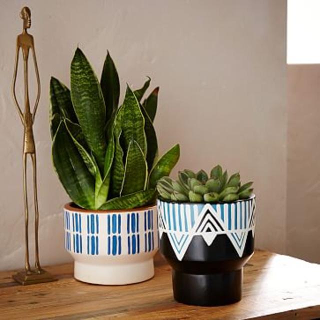 Peruvian Planters - White/Blue