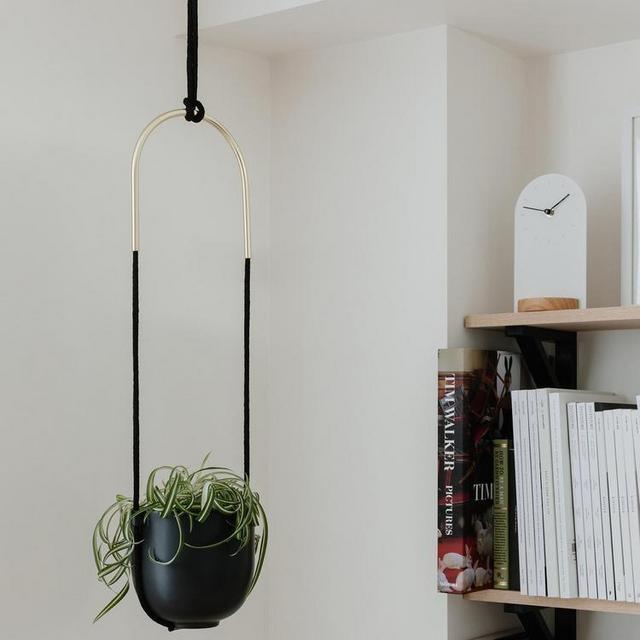 Umbra Bolo Hanging Planter