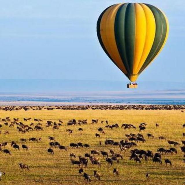 Hot Air Balloon Ride