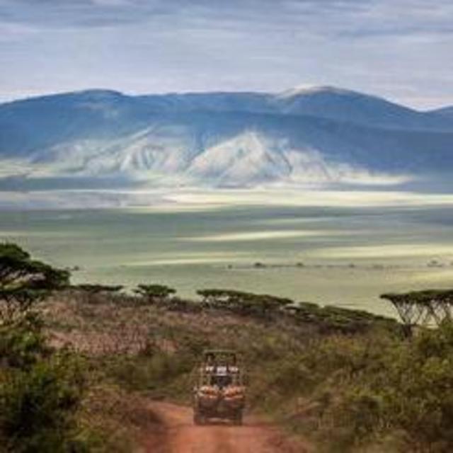 Ngorongoro Crater Tour