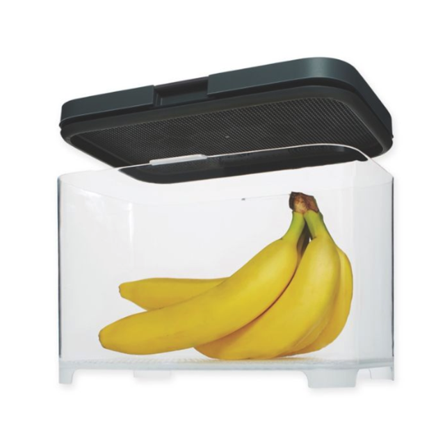 Rubbermaid® Freshworks™ Countertop Extra Large Produce Container with Lid in Grey/Clear