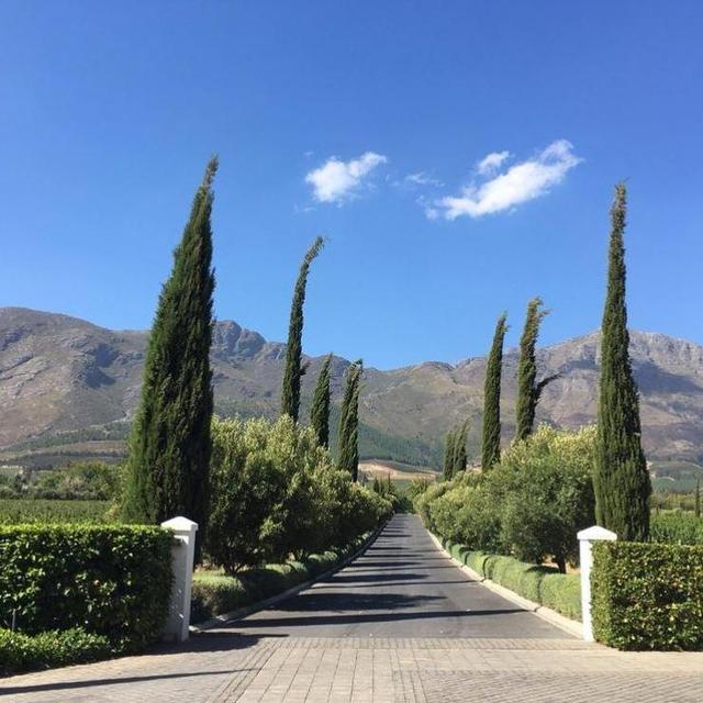 Wine Tasting in Franschoek