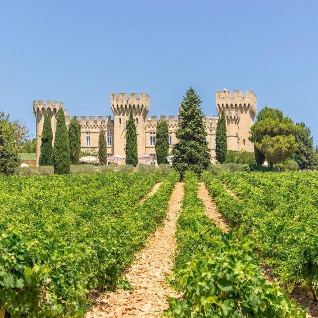 South of France Vineyards