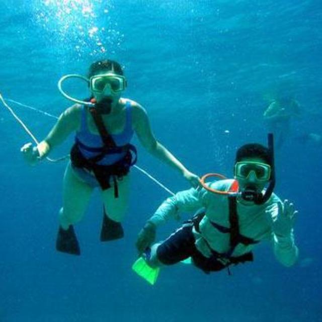 Snuba/Snorkeling Day Trip!