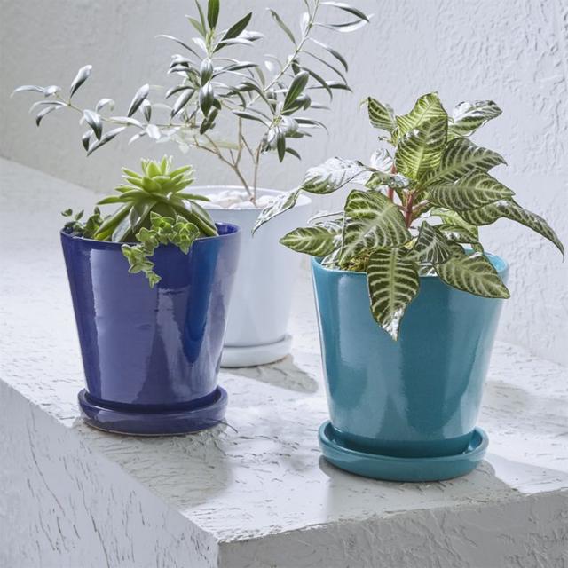 Festive Small Planters and Saucers Teal