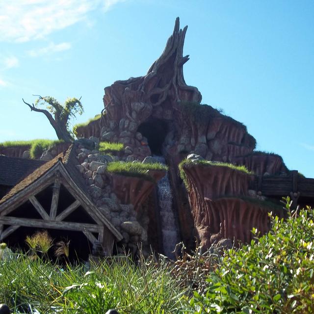 Disneyland Honeymoon!