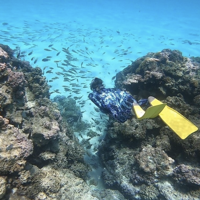 Bora Bora Reef Discovery Group Tour (MOSTLY FOR SEAN!!)