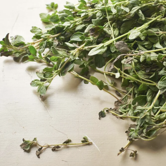 Herb Garden - Oregano