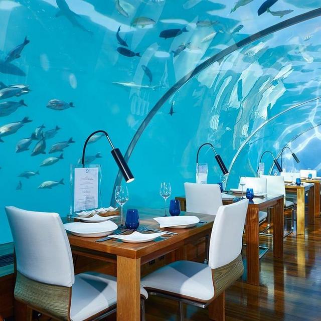 Dinner at the ITHAA UNDERSEA RESTAURANT
