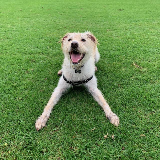 Ripple's College Fund