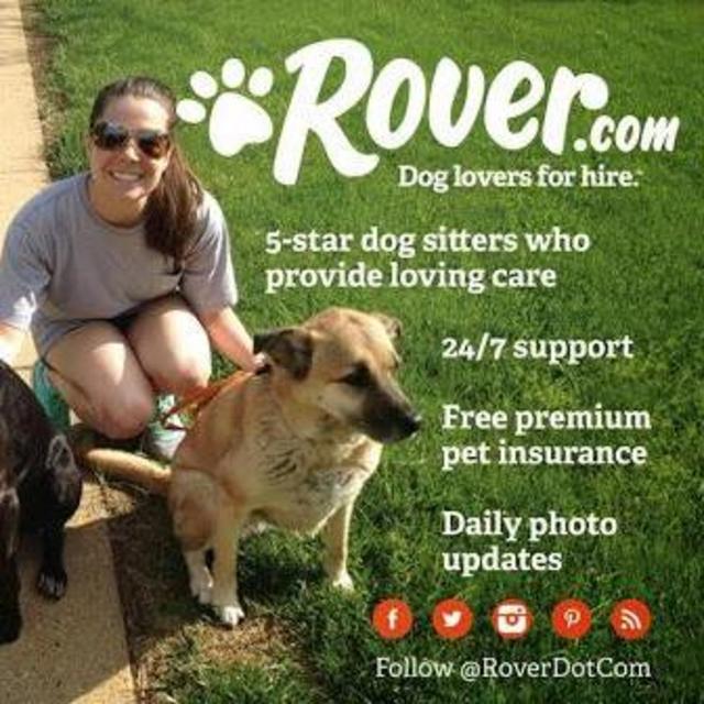Rover.com Petsitting