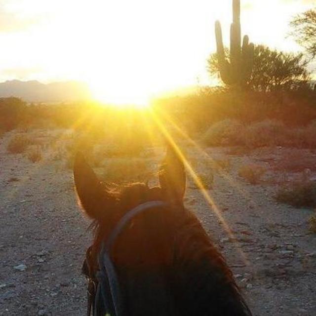 90 Minute Sonoran Sunset Trailride
