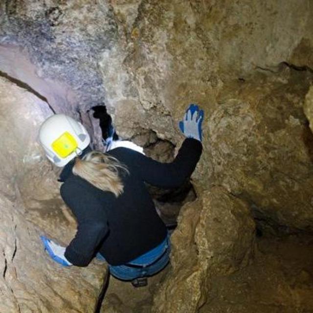 Two Tickets for Carlsbad Caverns Lower Cave Tour
