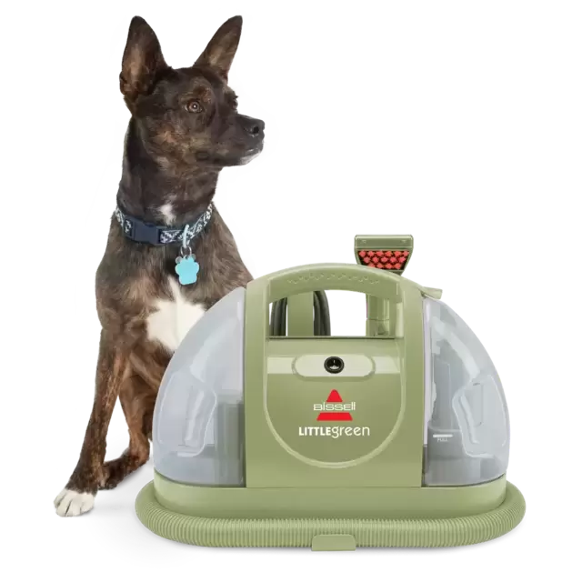Little Green® Portable Carpet Cleaner