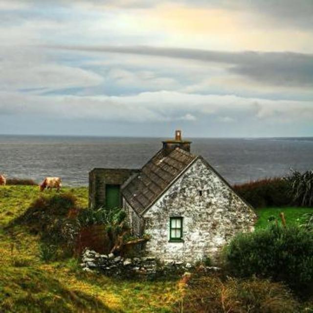 Our stay while we're away