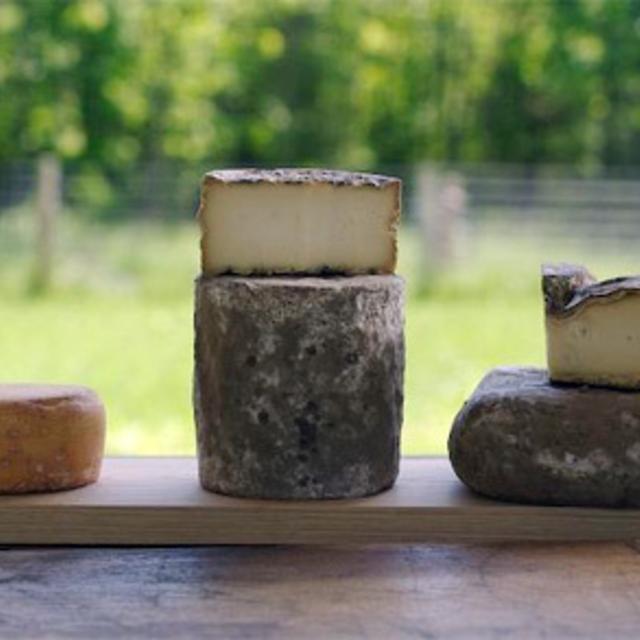 Twig Farm Washed Rind Wheel
