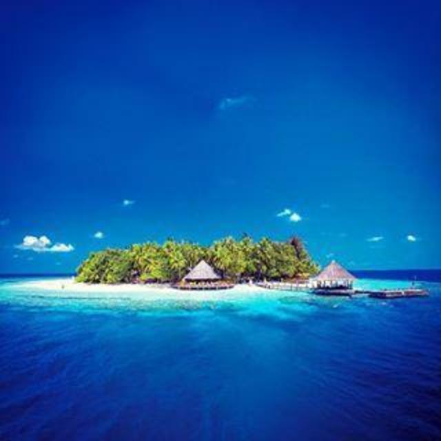 Honeymoon to the Maldives