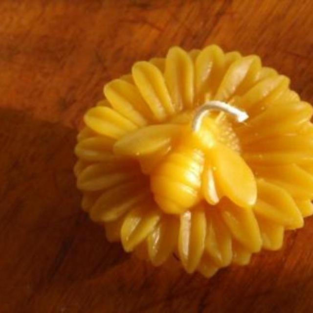 Set of Two Honey Bee Candles