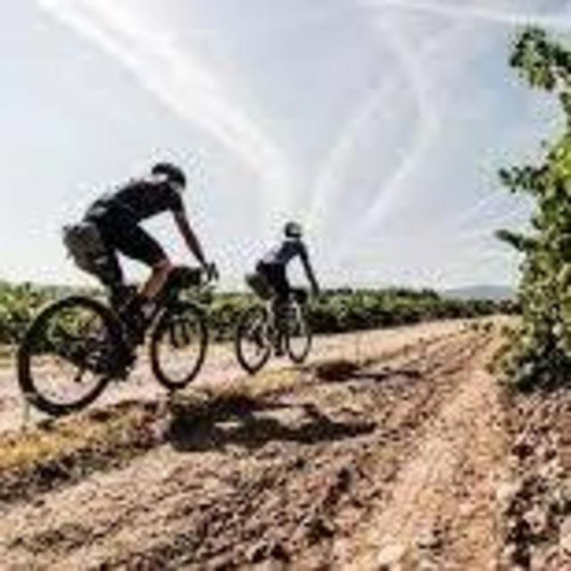 Bike Tour in Tuscany