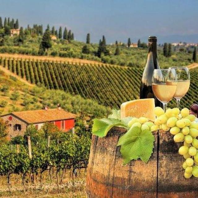 Wine Tasting In Tuscany