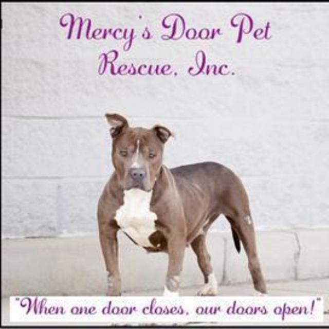 Mercy's Door Pet Rescue
