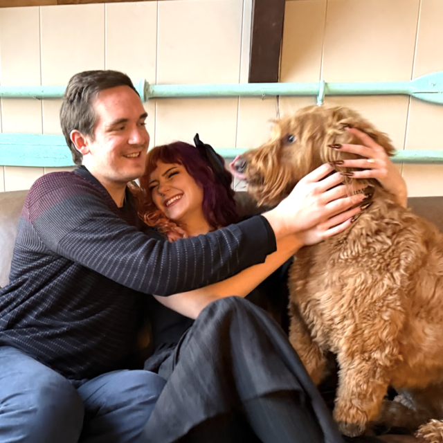 Help us get a dog!