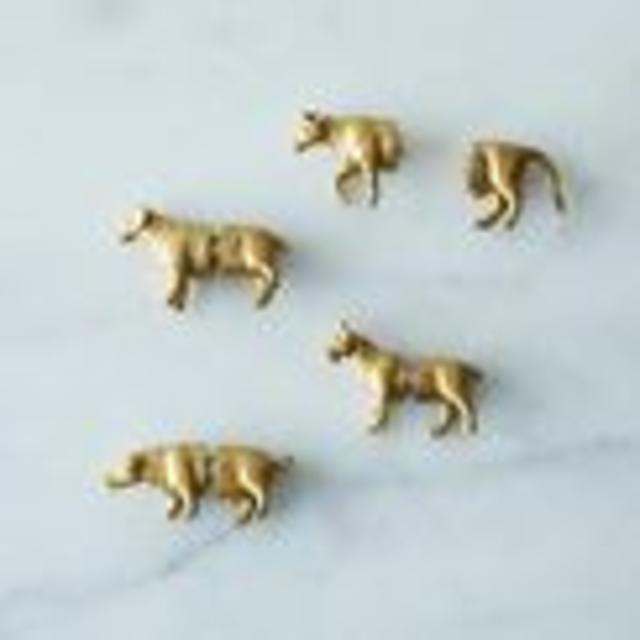 Animal Magnets & Card Holders