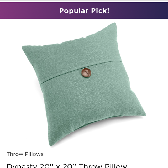 Dynasty 20'' x 20'' Throw Pillow in TURQUOISE