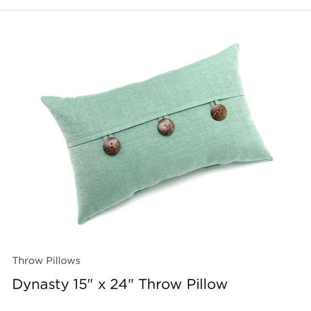 Dynasty 15" x 24" Throw Pillow in TURQUOISE