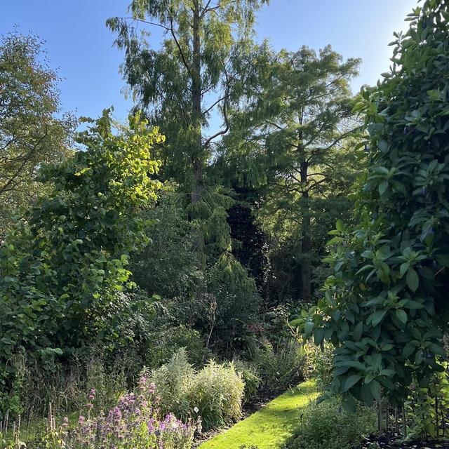 Creating our dream garden
