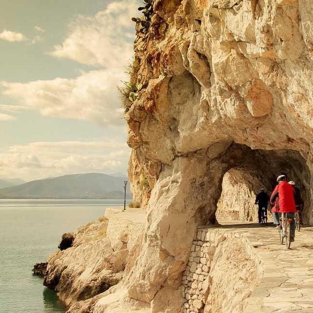 LandLife Cycling and Honey Tour