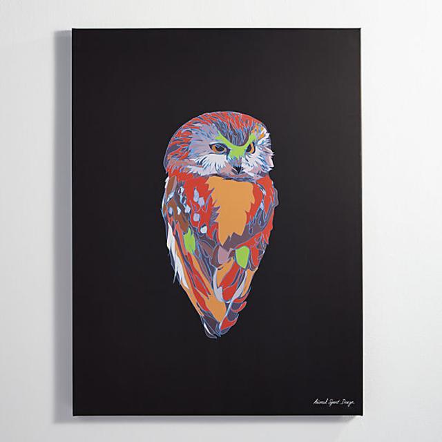 electric owl print