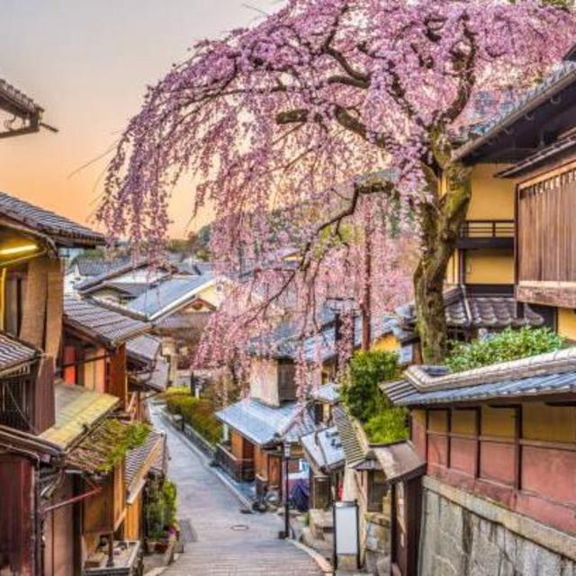 Participation Voyage au Japon / Japan Trip