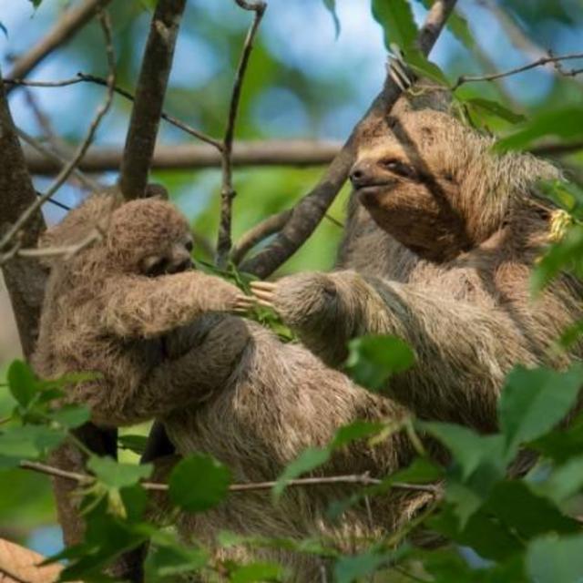 Honeymoon Resort Stay