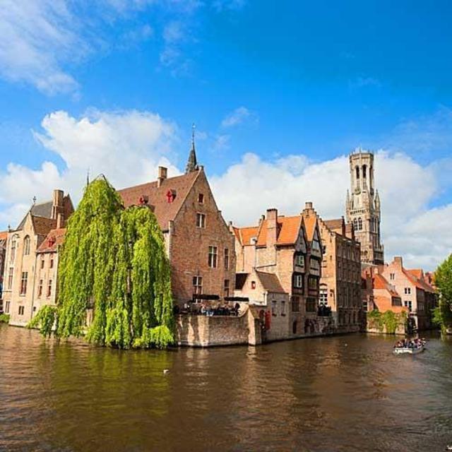 Shore Excursions