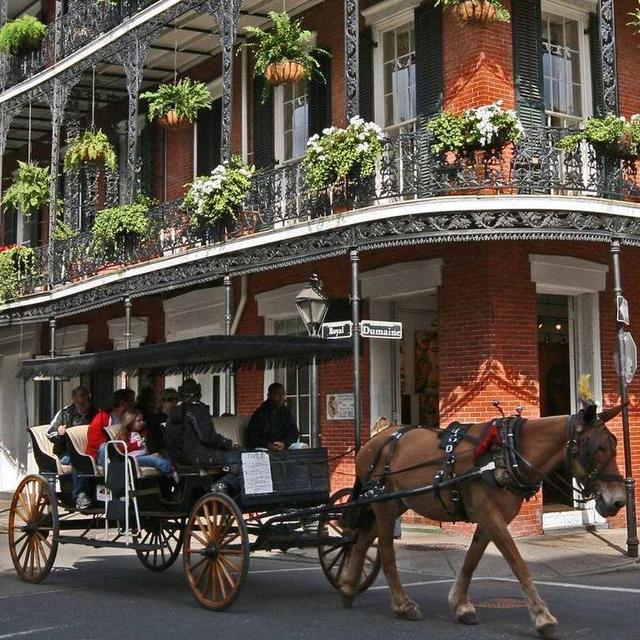 Carriage Tour