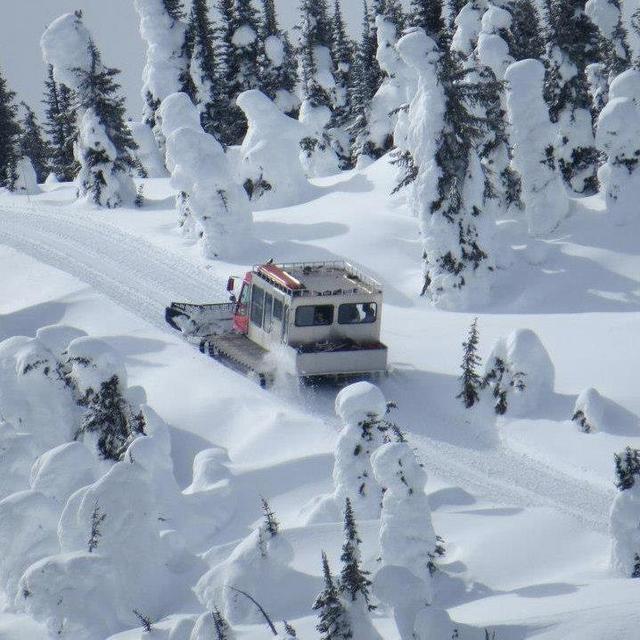 Honeymoon Back Country Cat Skiing Tour
