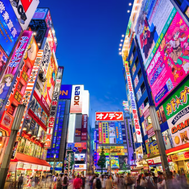 Honeymoon Tokyo Tour Guide